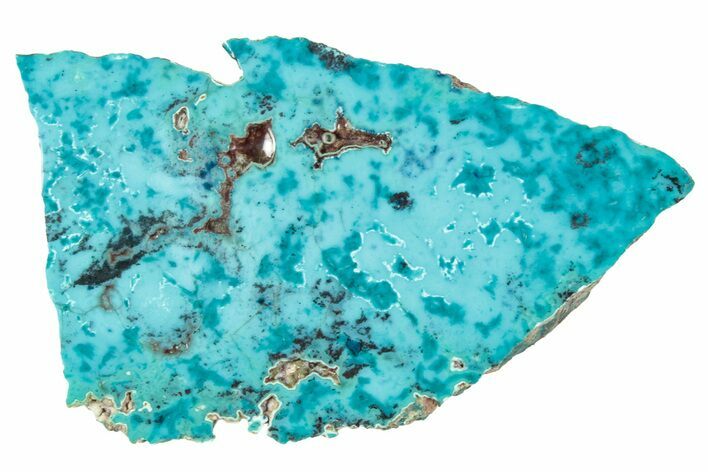 Vibrant Chrysocolla and Shattuckite Slab - Mexico #348728